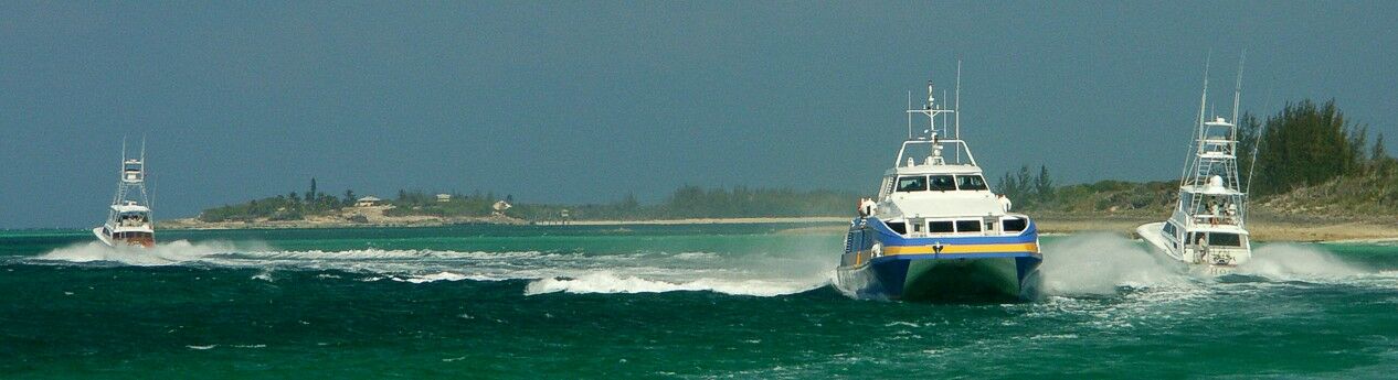 Click to See Next Image